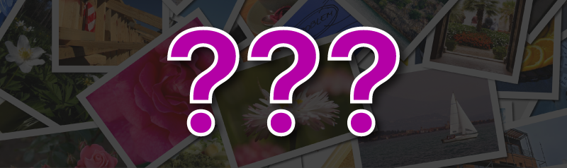 What-is-on-your-website-V2